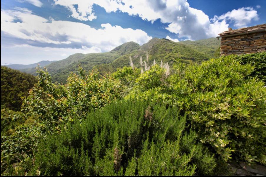 Casa Costa - Ruhe Und Natur Pur Carpasio Buitenkant foto